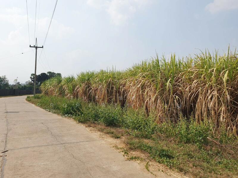 ขาย - ที่ดินวังด้ง กาญจนบุรี, กาญจนบุรี