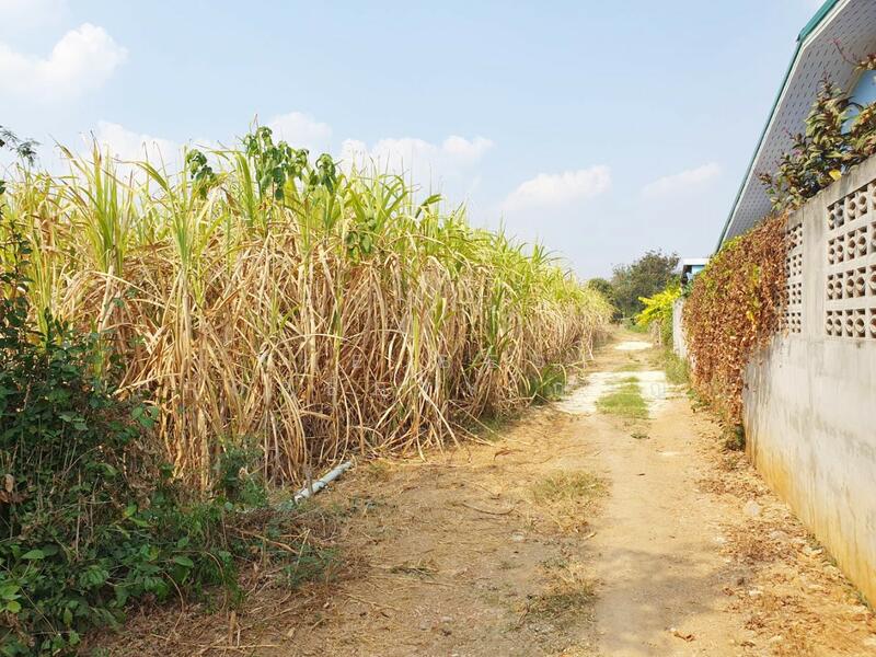 ขาย - ที่ดินวังด้ง กาญจนบุรี, กาญจนบุรี