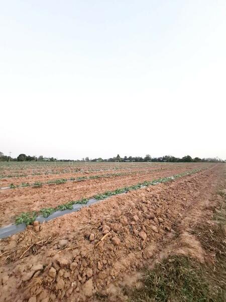 ขาย - ที่ดินวังด้ง กาญจนบุรี, กาญจนบุรี