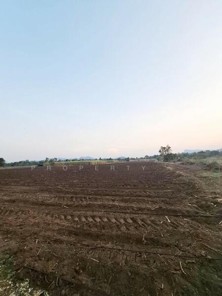 ขาย - ที่ดินวังด้ง กาญจนบุรี, กาญจนบุรี