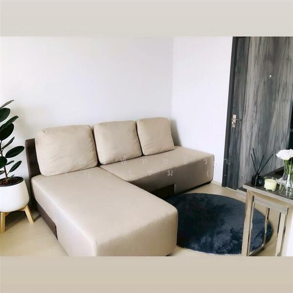 Elio Del Nest, Bangkok, 39 Udomsuk Road, Bang Na, Bang Na, Bangkok, 1 Bedroom, 26 sqm, Condo For Sale, by คุณ พัทธ์ธีรา เจริญธรรม (พัท), 500140899 - DDproperty.com