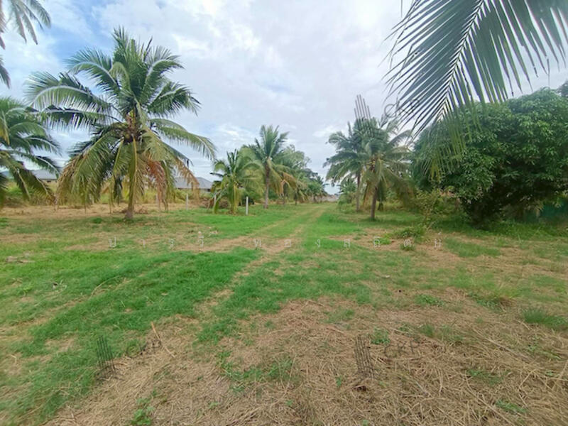 หินเหล็กไฟ, ประจวบคีรีขันธ์, หินเหล็กไฟ, หัวหิน, ประจวบคีรีขันธ์, 6,292 ตร.ม., ที่ดิน ขาย, โดย ปารวี ทองสถิตย์, 500141256 - DDproperty.com