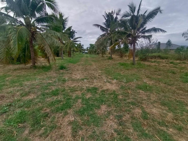 หินเหล็กไฟ, ประจวบคีรีขันธ์, หินเหล็กไฟ, หัวหิน, ประจวบคีรีขันธ์, 6,292 ตร.ม., ที่ดิน ขาย, โดย ปารวี ทองสถิตย์, 500141256 - DDproperty.com