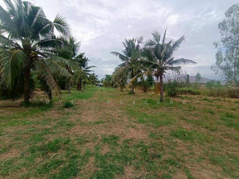 หินเหล็กไฟ, Prachuap Khiri Khan, Hin Lek Fai, Hua Hin, Prachuap Khiri Khan, , 6,292 sqm, Land For Sale, by ปารวี ทองสถิตย์, 500141256 - DDproperty.com