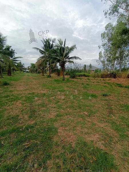 หินเหล็กไฟ, Prachuap Khiri Khan, Hin Lek Fai, Hua Hin, Prachuap Khiri Khan, , 6,292 sqm, Land For Sale, by ปารวี ทองสถิตย์, 500141256 - DDproperty.com