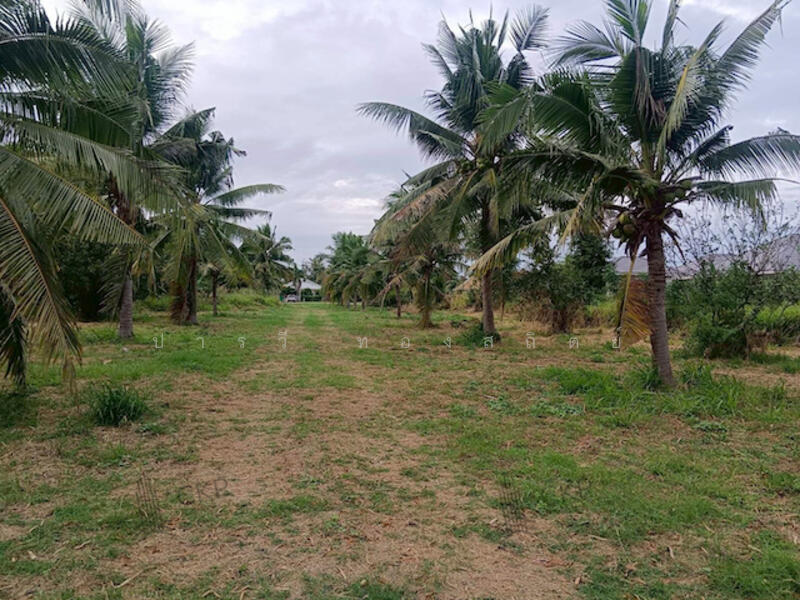 หินเหล็กไฟ, Prachuap Khiri Khan, Hin Lek Fai, Hua Hin, Prachuap Khiri Khan, , 6,292 sqm, Land For Sale, by ปารวี ทองสถิตย์, 500141256 - DDproperty.com