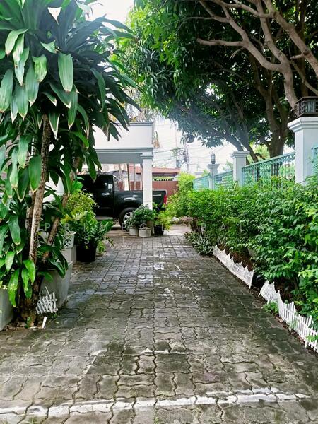 Phuket Villa Daorung, Phuket, Chaofa East Road, Wichit, Muang Phuket, Phuket, 3 Bedrooms, 72 sqm, Single Detached House For Rent, by primeglobalasset Mam, 500141258 - DDproperty.com