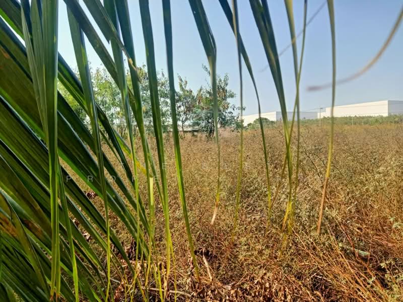 ที่ดินคลองเปรง ฉะเชิงเทรา, Chachoengsao, Khlong Preng, Muang Chachoengsao, Chachoengsao, , 356 sqm, Land For Sale, by The Best Property เครือ, 500141274 - DDproperty.com