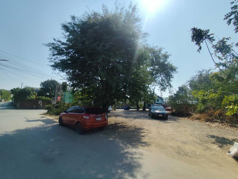 ขาย - ขายที่ดินเปล่า ทำเลดี นครชัยศรี, นครปฐม