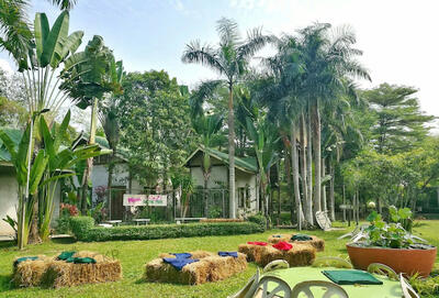 ขาย - เนินหอม, ปราจีนบุรี