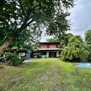 ขาย - บ้านไม้2ชั้นพร้อมที่ดิน ซ.พหลโยธิน54/1 แยก4-29 (แม่จีน), กรุงเทพ