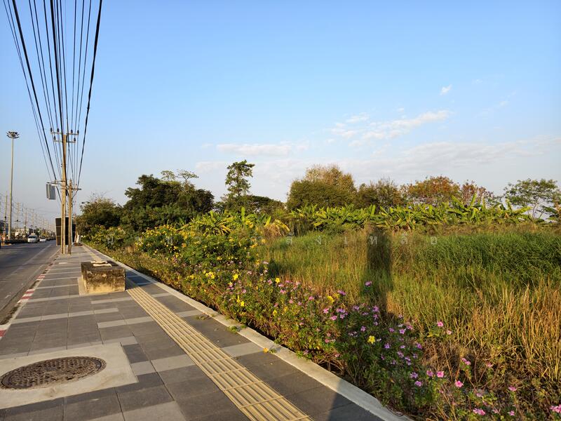 ขายที่ดิน ถนนเชื่มสัมพันธ์ 10-1-41ไร่ ใกล้แยกหนองจอก นิคมอุตสาหกรรมลาดกระบัง, กรุงเทพ, เชื่อมสัมพันธ์, ลำผักชี, หนองจอก, กรุงเทพ, 16,564 ตร.ม., ที่ดิน ขาย, โดย นัชชา กำลังเหลือ, 500141795 - DDproperty.com