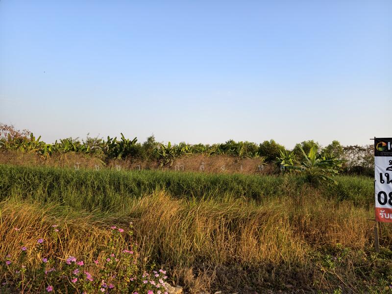 Land for sale on Chueam Samphan road,10-1-41 rai., Bangkok, เชื่อมสัมพันธ์, Lam Phak Chi, Nong Chok, Bangkok, , 16,564 sqm, Land For Sale, by นัชชา กำลังเหลือ, 500141795 - DDproperty.com