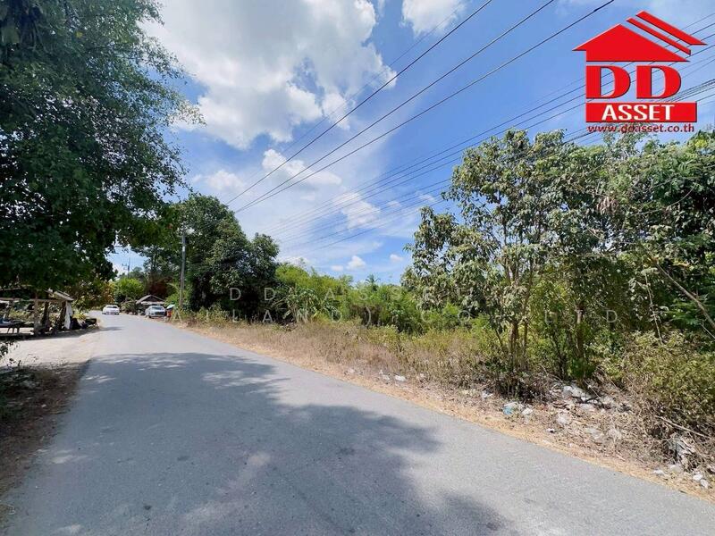 ขาย - ขายที่ดินใกล้โรงเรียนสะเพลง อำเภอเฉลิมพระเกียรติ นครศรีธรรมราช, นครศรีธรรมราช