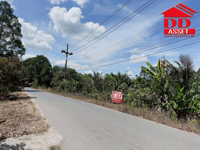 ขาย - ขายที่ดินใกล้โรงเรียนสะเพลง อำเภอเฉลิมพระเกียรติ นครศรีธรรมราช, นครศรีธรรมราช
