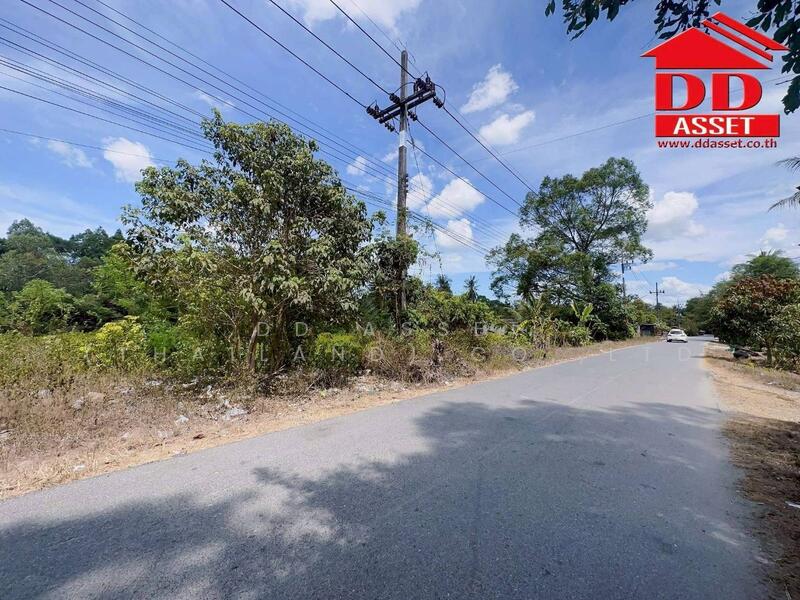 ขาย - ขายที่ดินใกล้โรงเรียนสะเพลง อำเภอเฉลิมพระเกียรติ นครศรีธรรมราช, นครศรีธรรมราช