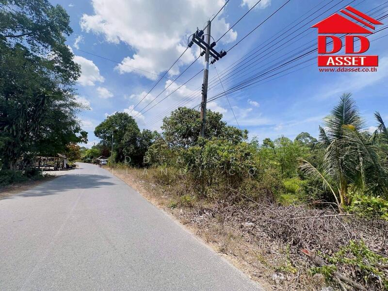 ขายที่ดินใกล้โรงเรียนสะเพลง อำเภอเฉลิมพระเกียรติ นครศรีธรรมราช, Nakhon Si Thammarat, Don Tro, Chalermphrakiet, Nakhon Si Thammarat, , 7,204 sqm, Land For Sale, by DD Asset (Thailand) Co.,Ltd, 500141859 - DDproperty.com