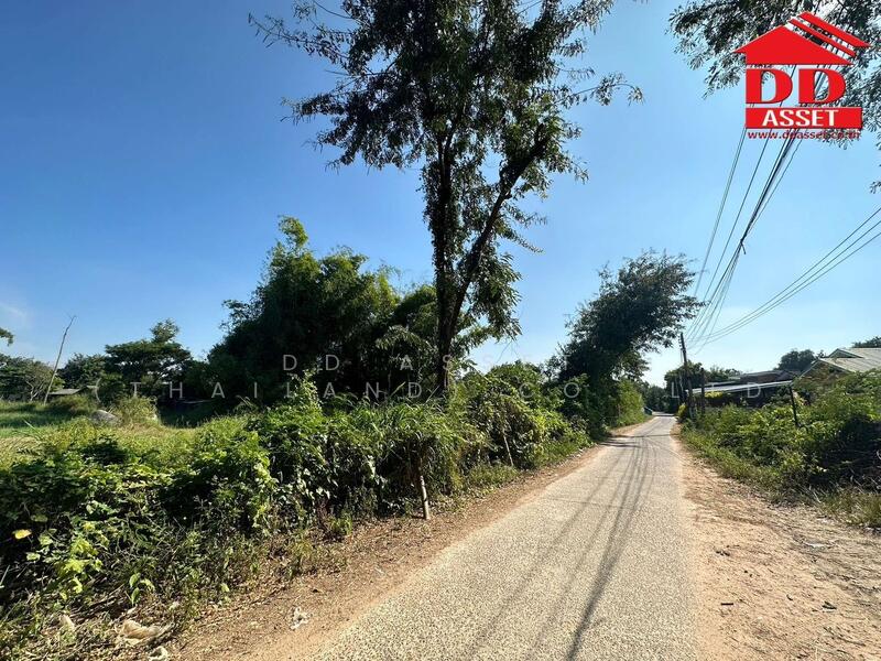 ขายที่ดิน จ.นครราชสีมา ซอยเฉลิมพระเกียรติ เมืองย่าโม, นครราชสีมา, พระพุทธ, เฉลิมพระเกียรติ, นครราชสีมา, 8,608 ตร.ม., ที่ดิน ขาย, โดย DD Asset (Thailand) Co.,Ltd, 500141913 - DDproperty.com