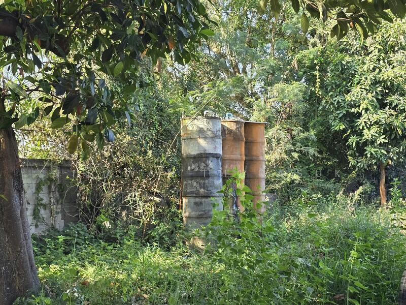 ขาย - ปักธงชัย, นครราชสีมา