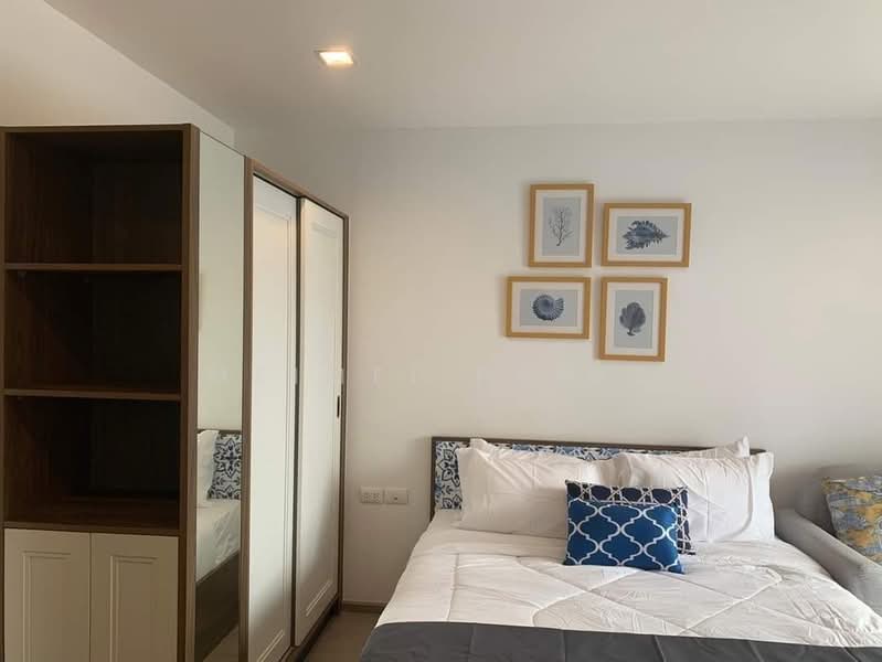 The Base Central, Phuket, Chao Fah Tawan Tok Rd, Wichit, Muang Phuket, Phuket, 1 Bedroom, 26 sqm, Condo For Rent, by Prime Global Asset, 500142012 - DDproperty.com