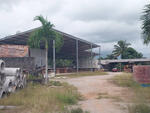 นอกโครงการตรัง, ตรัง