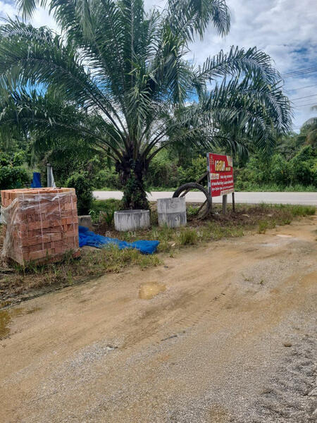 ขาย - นอกโครงการตรัง, ตรัง