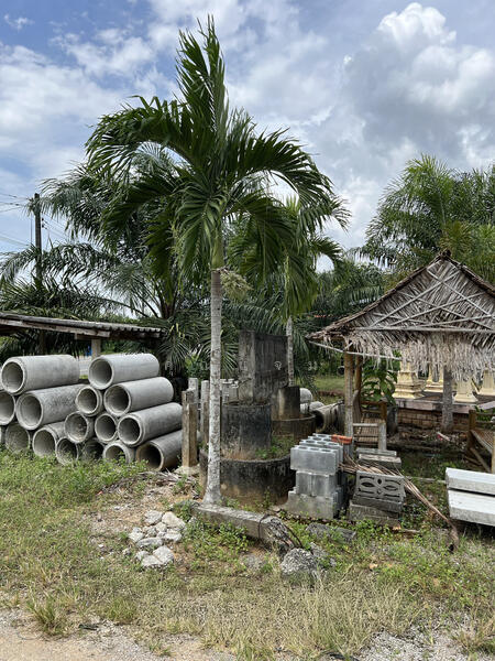 ขาย - นอกโครงการตรัง, ตรัง