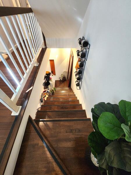 Townplus Prachauthit, Bangkok, Prachauthit Road, Thung Khru, Thung Khru, Bangkok, 3 Bedrooms, 163 sqm, Townhouse For Sale, by กวาง (ลลนา เกษมสันต์ ณ อยุธยา), 500142130 - DDproperty.com