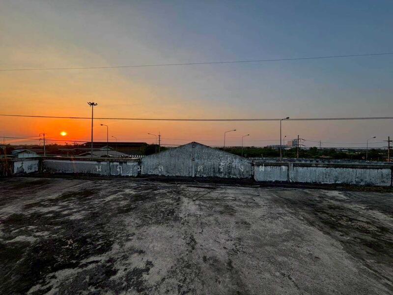 ขายอาคารพาณิชย์ 4 คูหา 3 ชั้น ครึ่ง 7 ห้องนอน 7 ห้องน้ำ ขนาดที่ดิน 90 ตร.ว. ติดถนนใหญ่เหมาะทำธุรกิจ, สระบุรี, ห้วยขมิ้น, หนองแค, สระบุรี, 1,080 ตร.ม., ตึกแถว-อาคารพาณิชย์ ขาย, โดย นฤมล ครั่งฝา, 500142197 - DDproperty.com