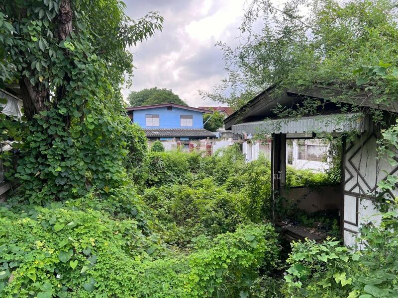 ที่ดินหนองแขม กรุงเทพมหานคร, Bangkok, Nong Kang Plu, Nong Khaem, Bangkok, , 668 sqm, Land For Sale, by The Best Property ณัฐ, 500142299 - DDproperty.com