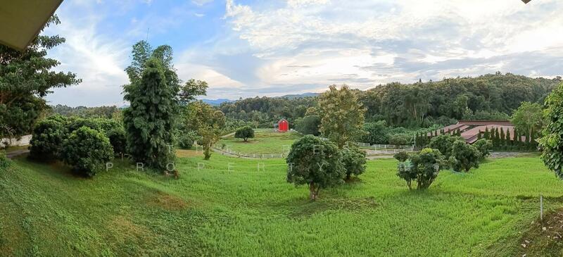 ขาย - ต.สบเปิง อ.แม่แตง จ.เชียงใหม่, เชียงใหม่