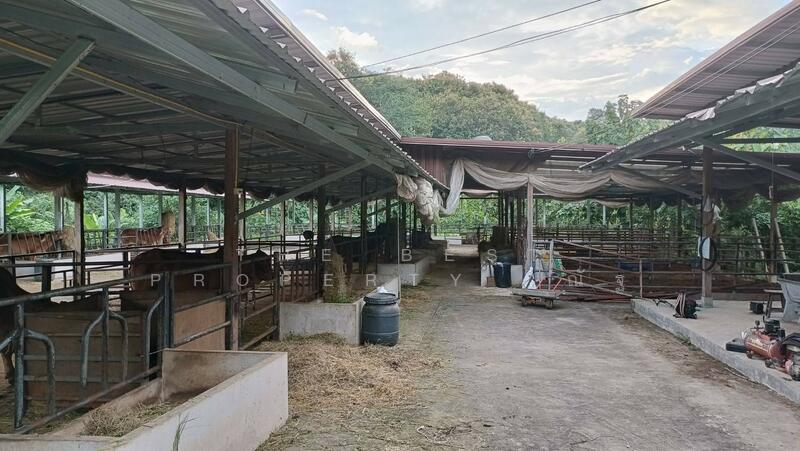 ขาย - ต.สบเปิง อ.แม่แตง จ.เชียงใหม่, เชียงใหม่