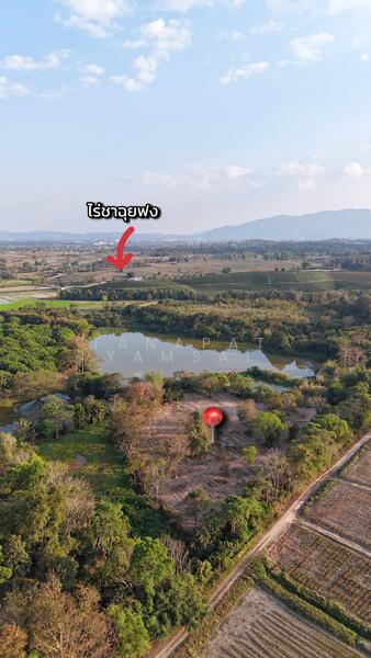 ขาย - แม่จัน, เชียงราย