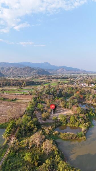 ขาย - แม่จัน, เชียงราย