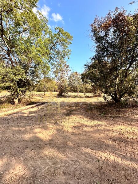 For Sale - Mae Chan, Chiang Rai