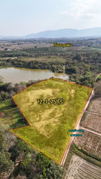 แม่จัน, เชียงราย, ศรีค้ำ, แม่จัน, เชียงราย, 19,900 ตร.ม., ที่ดิน ขาย, โดย Tanapat Yamsai, 500142396 - DDproperty.com