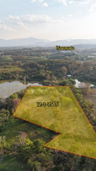 แม่จัน, เชียงราย, ศรีค้ำ, แม่จัน, เชียงราย, 19,900 ตร.ม., ที่ดิน ขาย, โดย Tanapat Yamsai, 500142396 - DDproperty.com