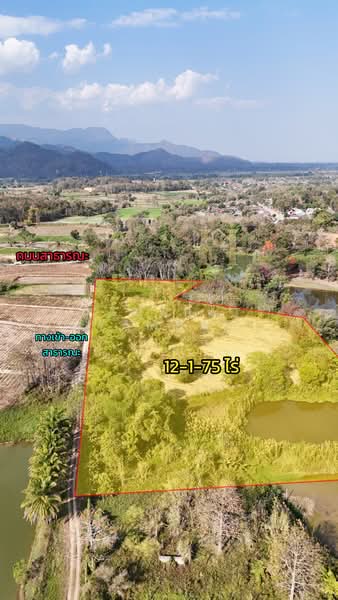 แม่จัน, เชียงราย, ศรีค้ำ, แม่จัน, เชียงราย, 19,900 ตร.ม., ที่ดิน ขาย, โดย Tanapat Yamsai, 500142396 - DDproperty.com