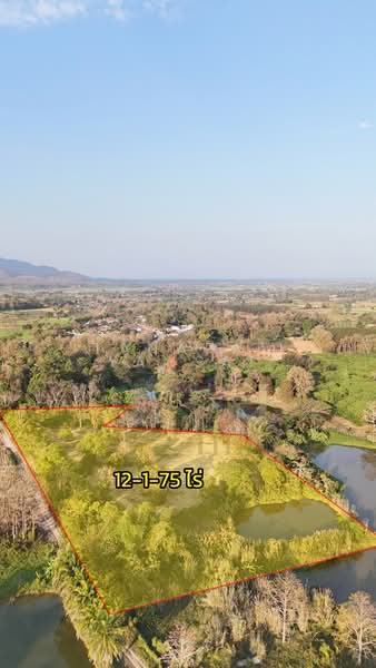 แม่จัน, เชียงราย, ศรีค้ำ, แม่จัน, เชียงราย, 19,900 ตร.ม., ที่ดิน ขาย, โดย Tanapat Yamsai, 500142396 - DDproperty.com