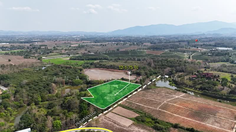 แม่จัน, เชียงราย, ศรีค้ำ, แม่จัน, เชียงราย, 19,900 ตร.ม., ที่ดิน ขาย, โดย Tanapat Yamsai, 500142396 - DDproperty.com