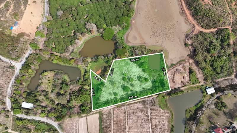 Mae Chan, Chiang Rai, Sri Kham, Mae Chan, Chiang Rai, , 19,900 sqm, Land For Sale, by Tanapat Yamsai, 500142396 - DDproperty.com