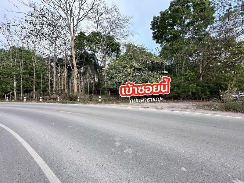 Mae Chan, Chiang Rai, Sri Kham, Mae Chan, Chiang Rai, , 19,900 sqm, Land For Sale, by Tanapat Yamsai, 500142396 - DDproperty.com