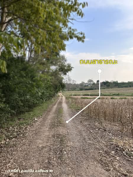 Mae Chan, Chiang Rai, Sri Kham, Mae Chan, Chiang Rai, , 19,900 sqm, Land For Sale, by Tanapat Yamsai, 500142396 - DDproperty.com