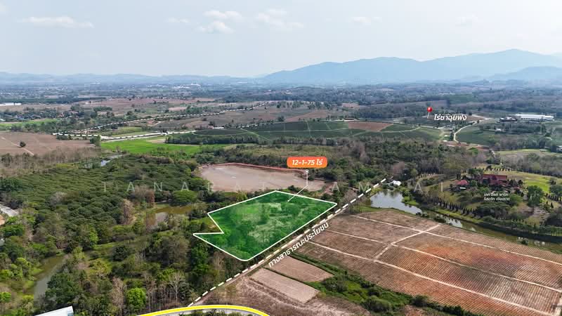 Mae Chan, Chiang Rai, Sri Kham, Mae Chan, Chiang Rai, , 19,900 sqm, Land For Sale, by Tanapat Yamsai, 500142396 - DDproperty.com