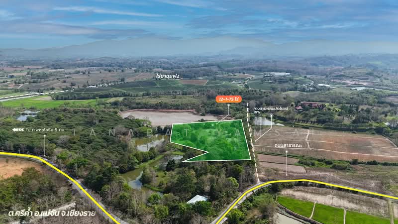 Mae Chan, Chiang Rai, Sri Kham, Mae Chan, Chiang Rai, , 19,900 sqm, Land For Sale, by Tanapat Yamsai, 500142396 - DDproperty.com