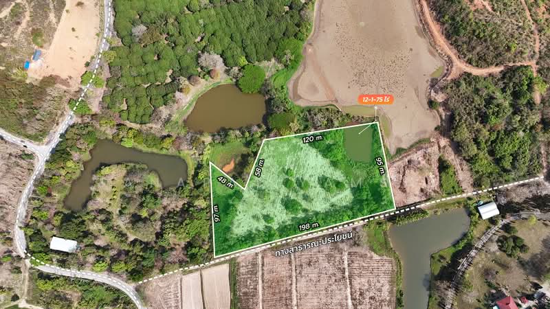 Mae Chan, Chiang Rai, Sri Kham, Mae Chan, Chiang Rai, , 19,900 sqm, Land For Sale, by Tanapat Yamsai, 500142396 - DDproperty.com