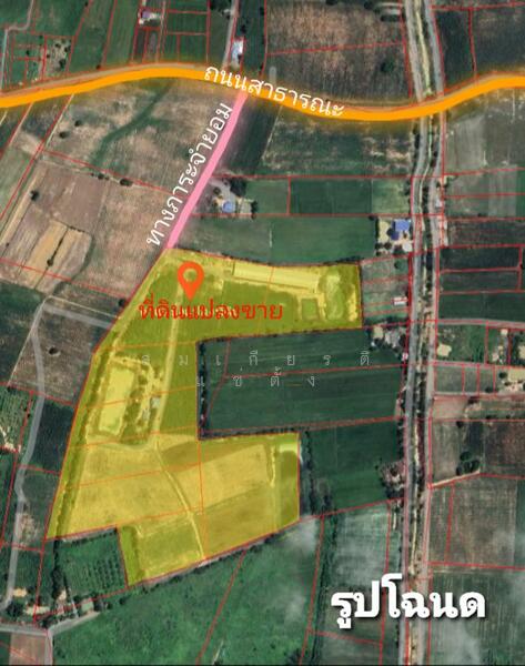 ขาย - ขายด่วน ที่ดินดอนเจดีย์ แปลงใหญ่ 60 ไร มีรั้วปูนรอบแนวเขตที่ดินแล้ว, สุพรรณบุรี