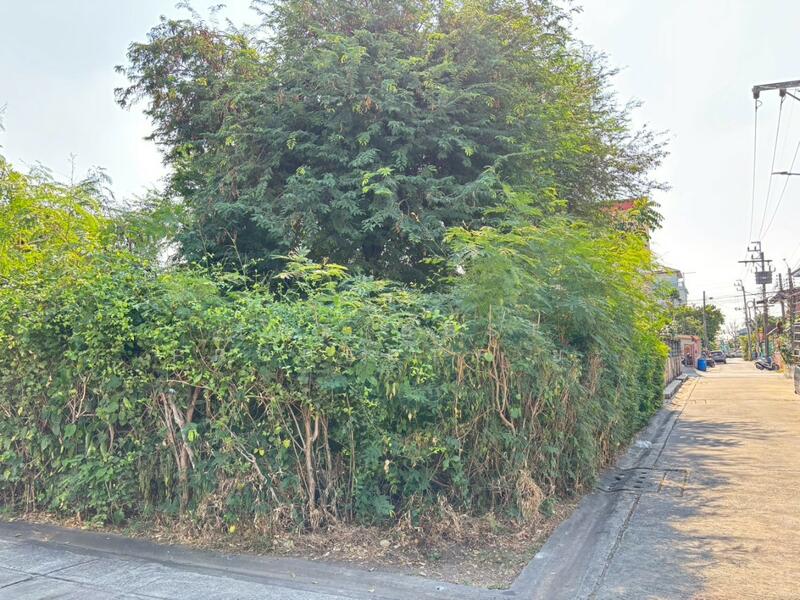 ที่ดินบางขุนเทียน กรุงเทพมหานคร, กรุงเทพ, แสมดำ, บางขุนเทียน, กรุงเทพ, 272 ตร.ม., ที่ดิน ขาย, โดย The Best Property ยะ, 500142414 - DDproperty.com