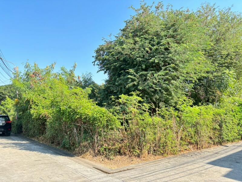 ที่ดินบางขุนเทียน กรุงเทพมหานคร, กรุงเทพ, แสมดำ, บางขุนเทียน, กรุงเทพ, 272 ตร.ม., ที่ดิน ขาย, โดย The Best Property ยะ, 500142414 - DDproperty.com