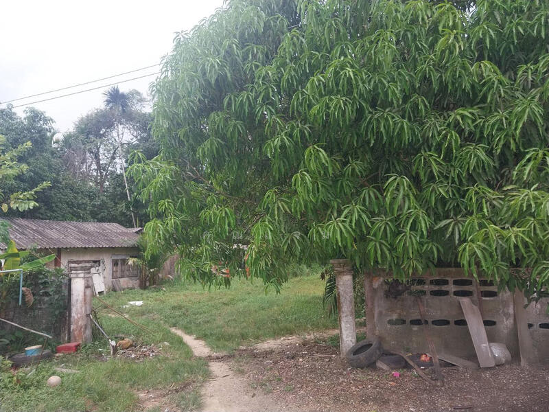 For Sale - นอกโครงการนราธิวาส, Narathiwat